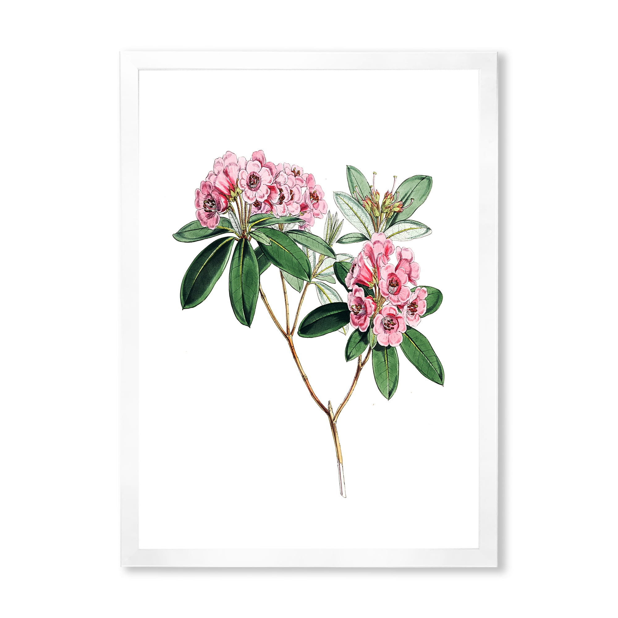 Designart 'Ancient American Flora II' Traditional Framed Art Print
