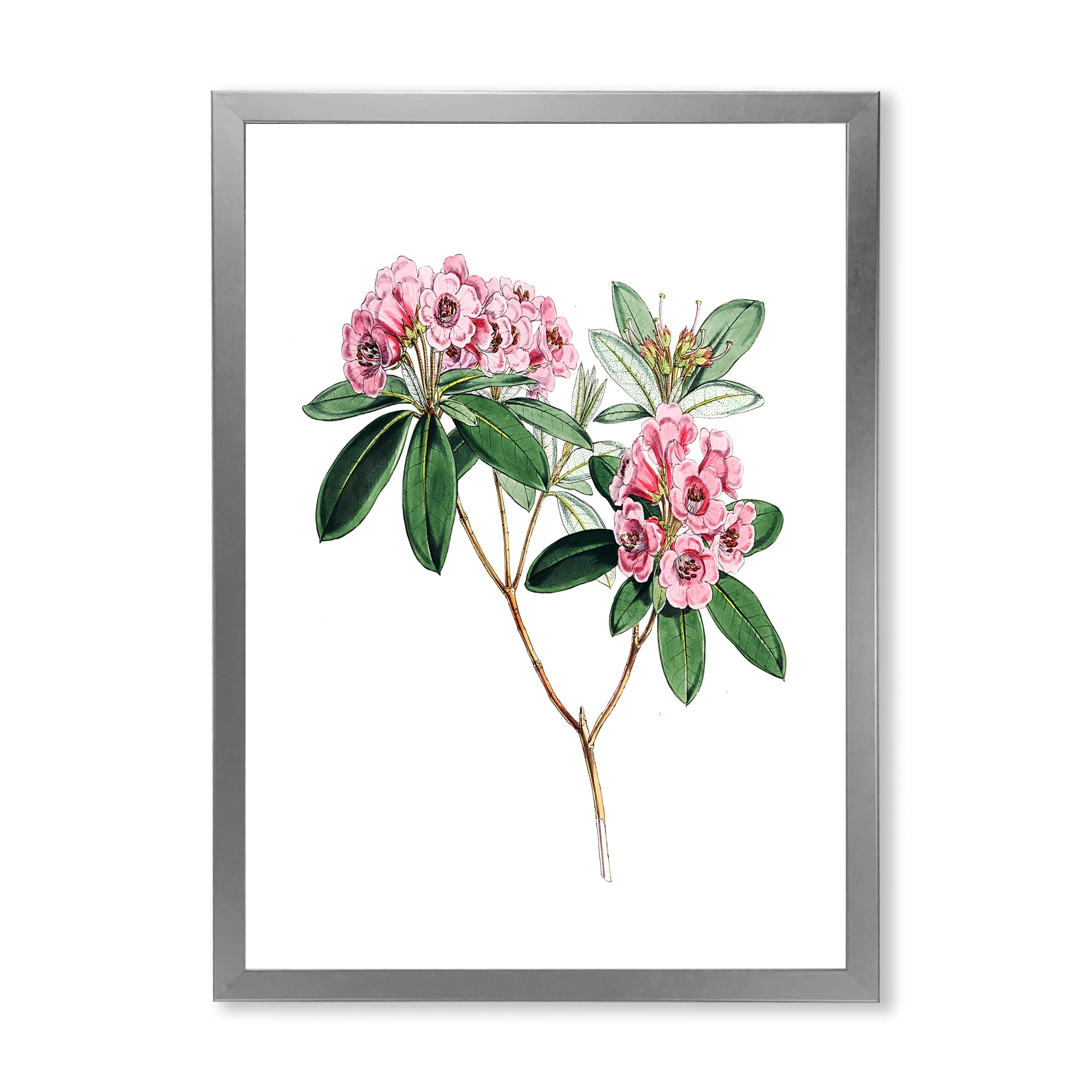 Designart 'Ancient American Flora II' Traditional Framed Art Print