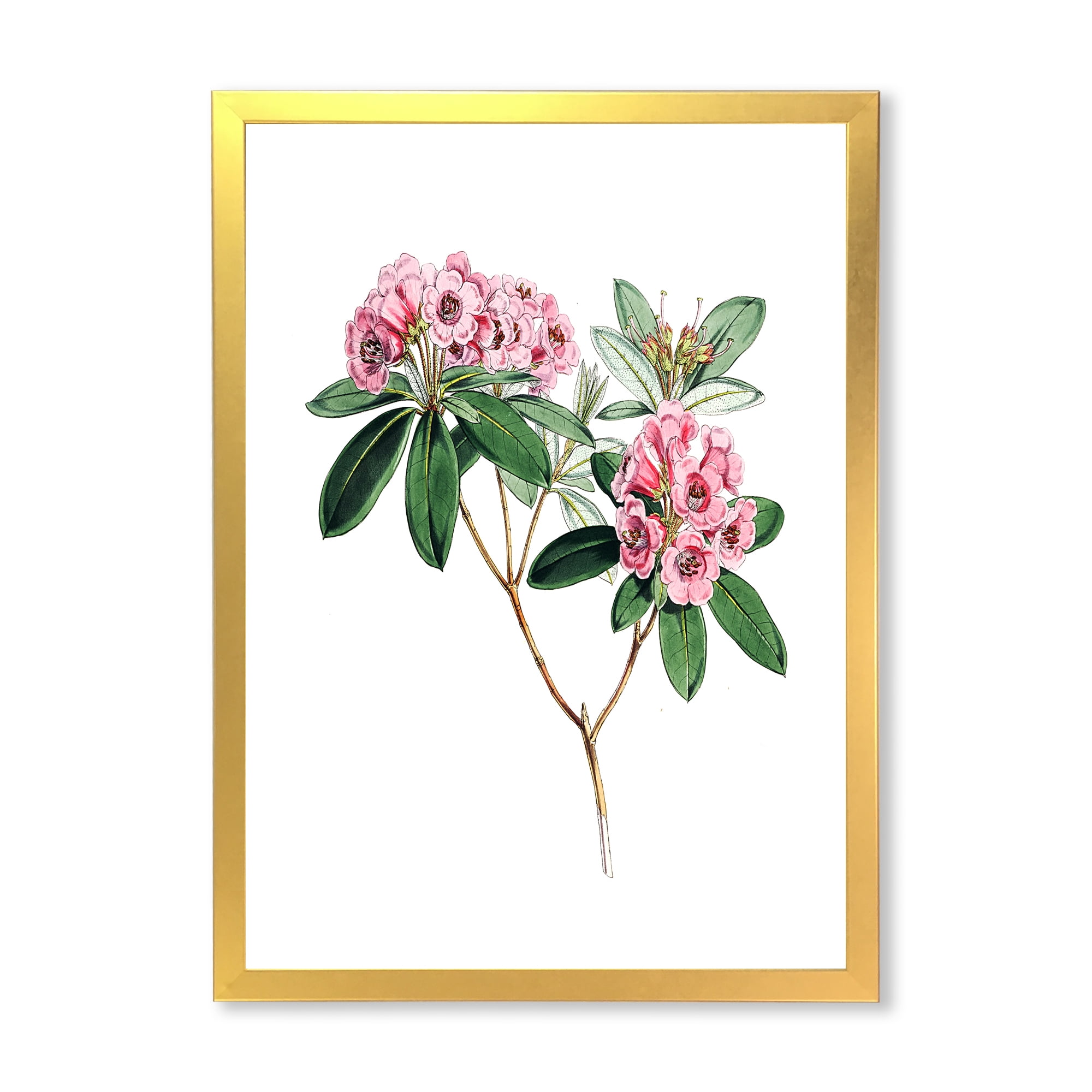 Designart 'Ancient American Flora II' Traditional Framed Art Print