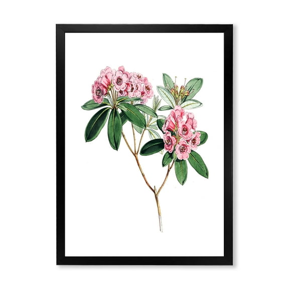 Designart 'Ancient American Flora II' Traditional Framed Art Print