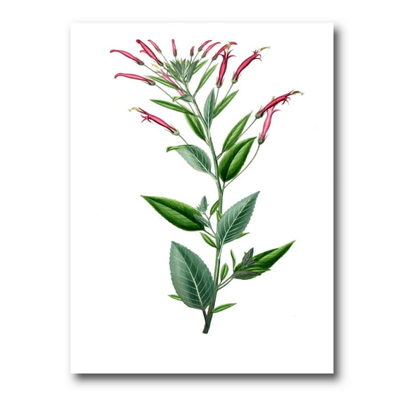 Designart ' Ancient American Flora III ' Traditional Canvas Wall Art Print
