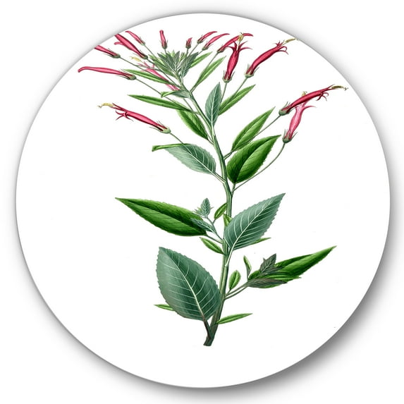 Designart 'Ancient American Flora III' Traditional Circle Metal Wall Art 23x23 - Disc of 23