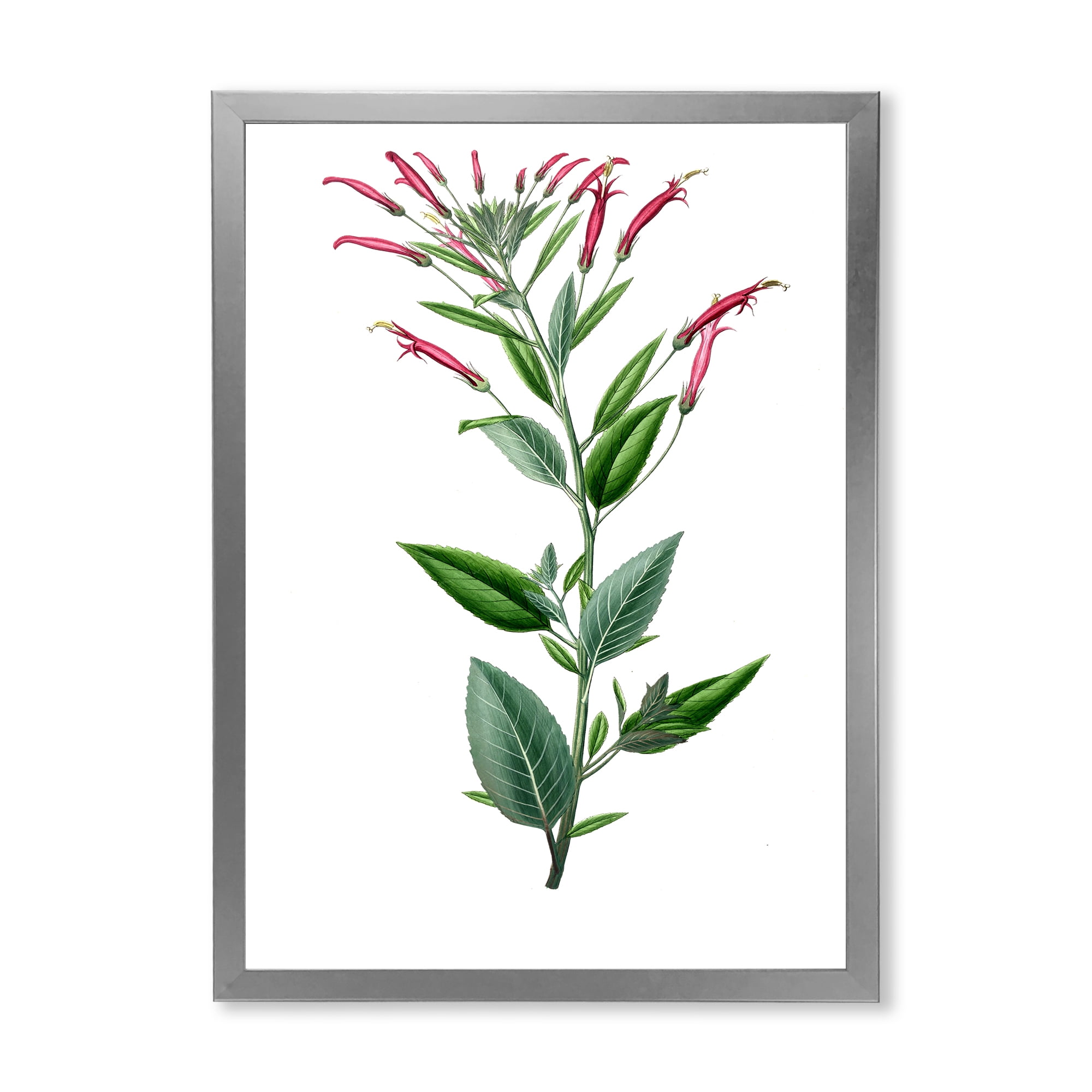 Designart 'Ancient American Flora III' Traditional Framed Art Print