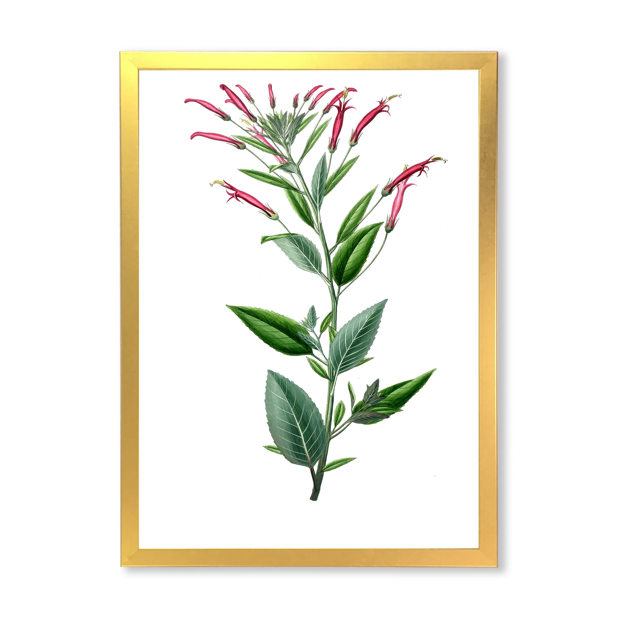 Designart 'Ancient American Flora III' Traditional Framed Art Print