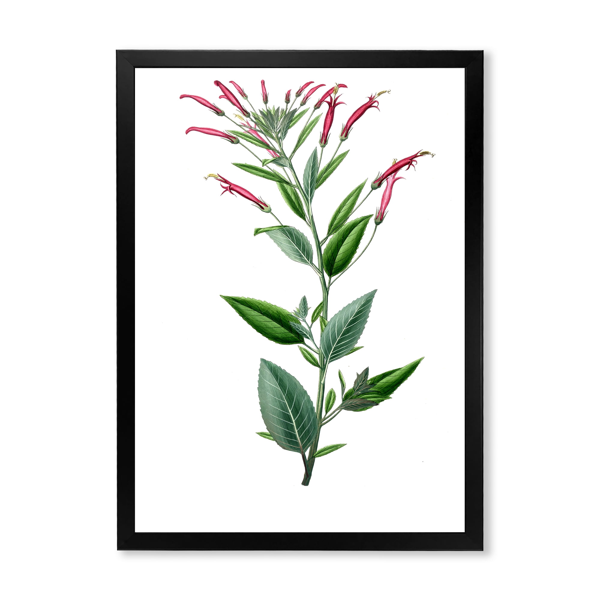 Designart 'Ancient American Flora III' Traditional Framed Art Print