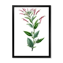 Designart 'Ancient American Flora III' Traditional Framed Art Print