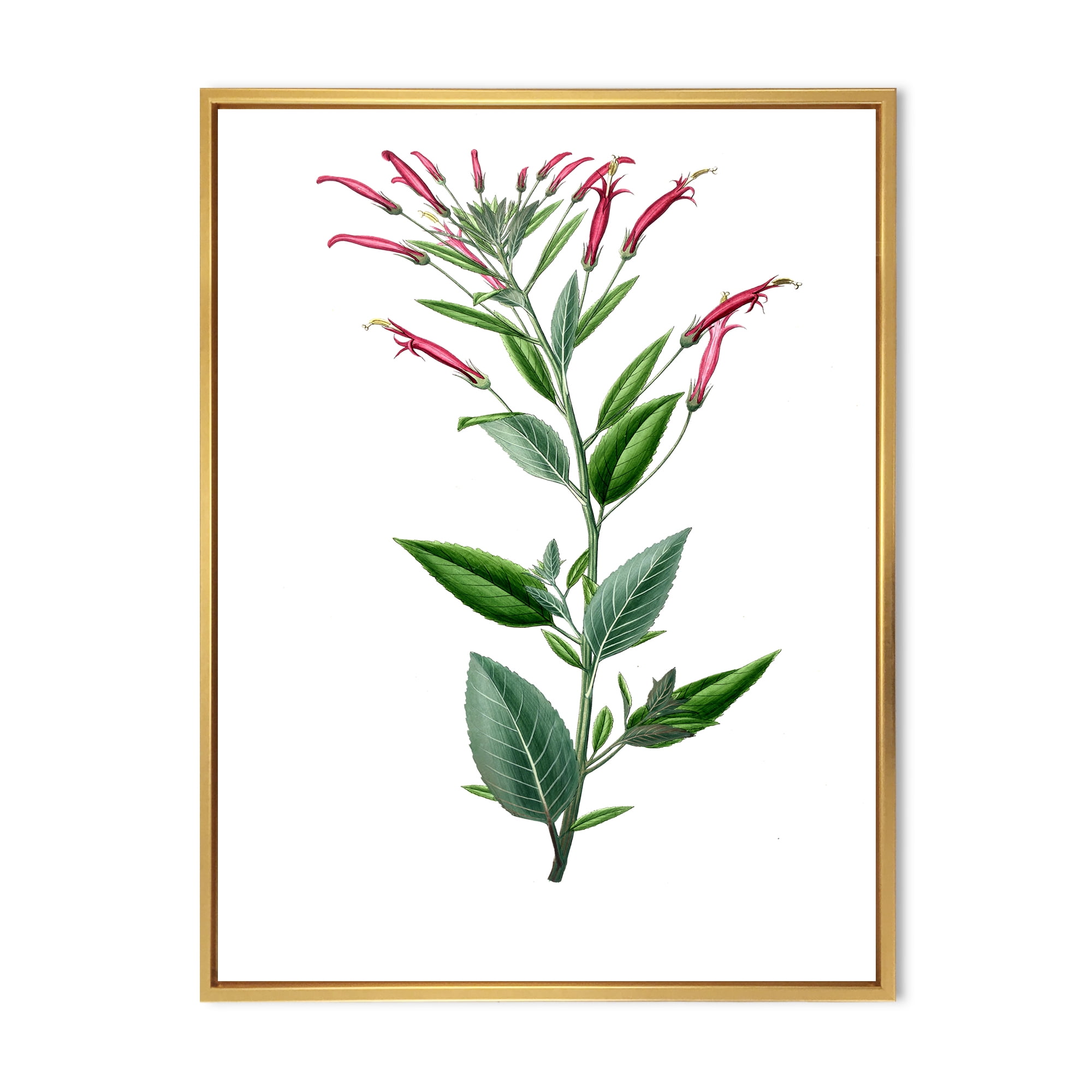 Designart 'Ancient American Flora III' Traditional Framed Canvas Wall Art Print