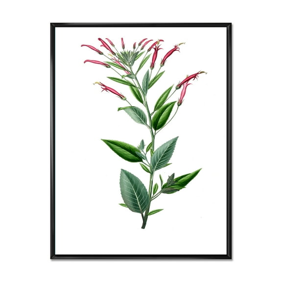 Designart 'Ancient American Flora III' Traditional Framed Canvas Wall Art Print
