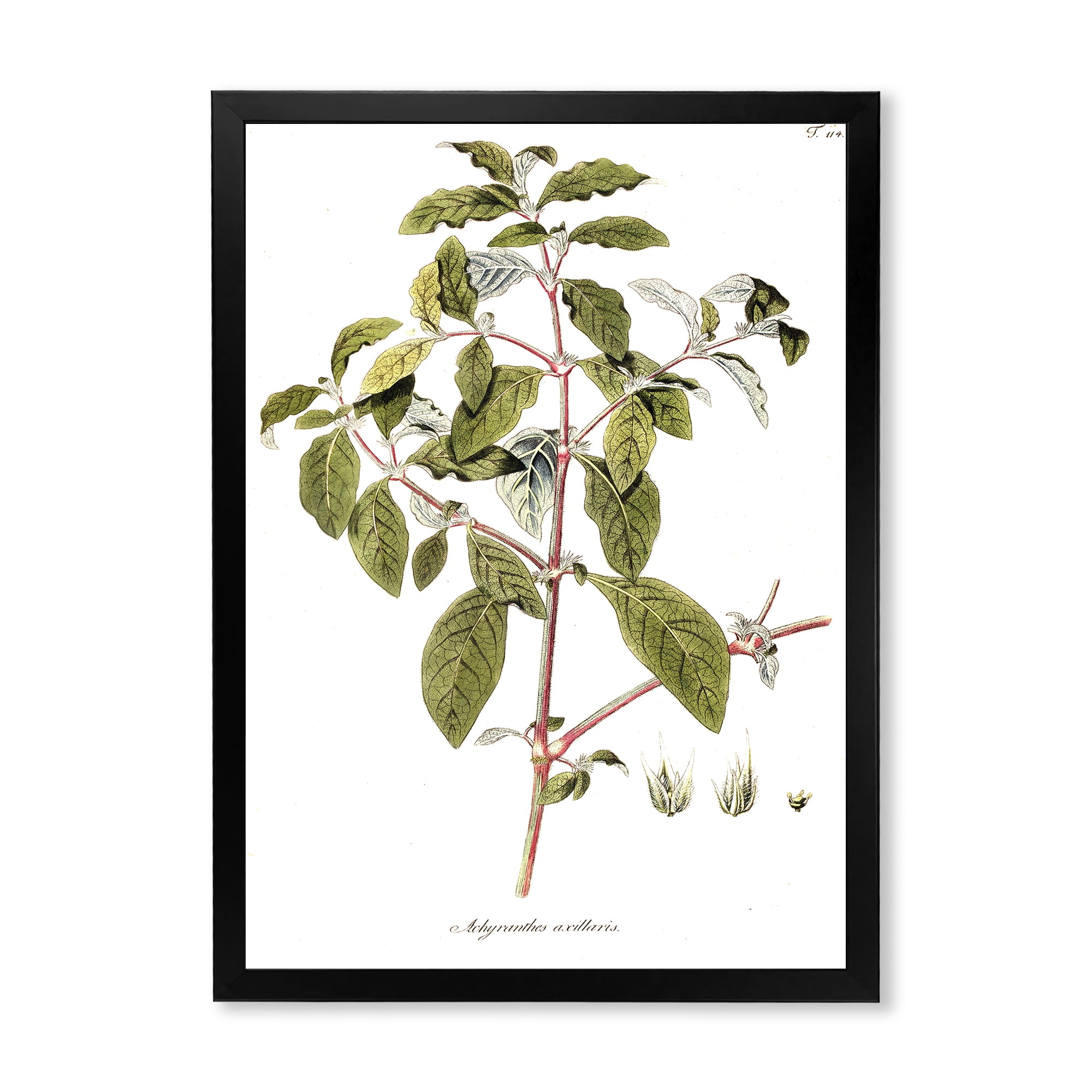 Designart 'Ancient American Flora IV' Traditional Framed Art Print