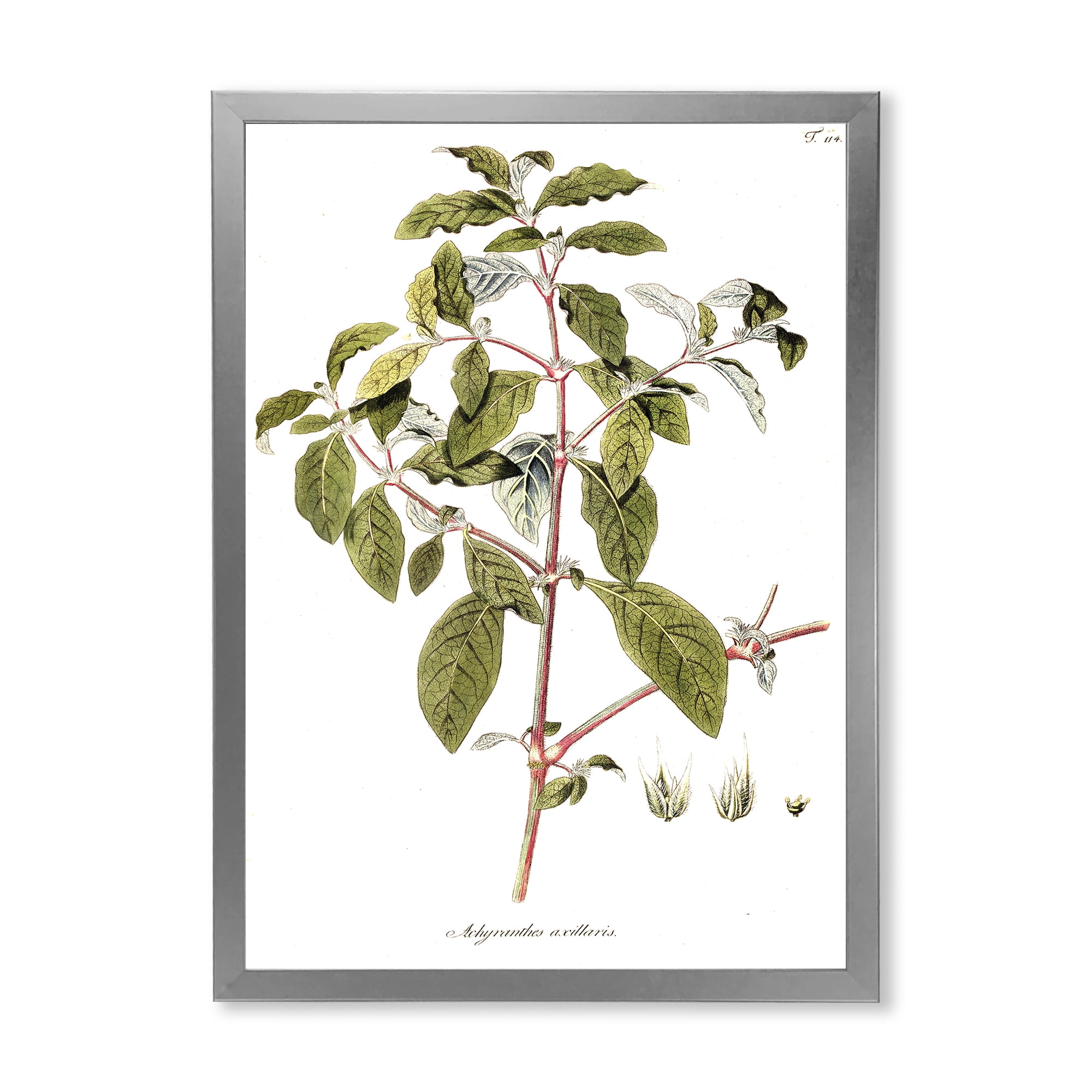 Designart 'Ancient American Flora IV' Traditional Framed Art Print