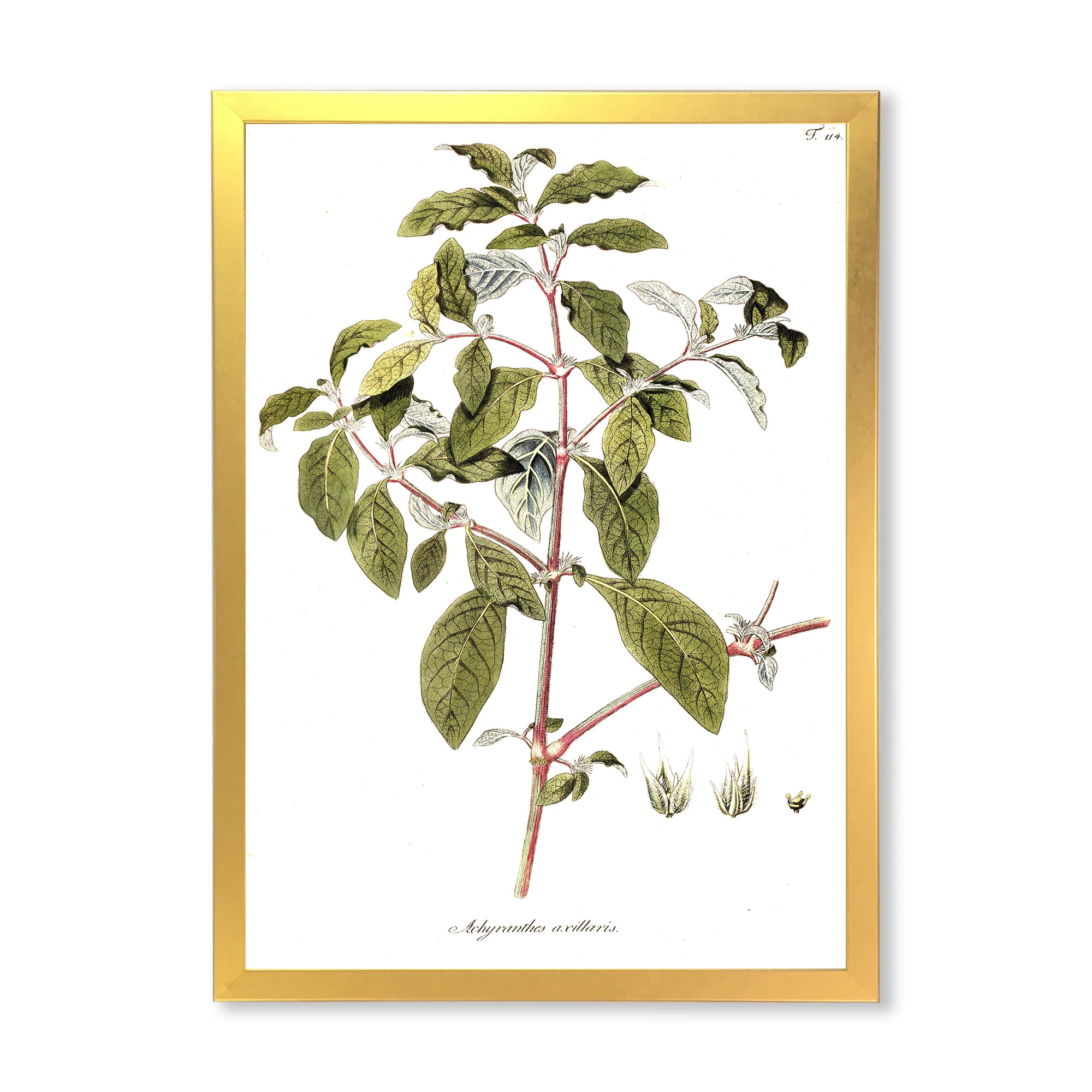Designart 'Ancient American Flora IV' Traditional Framed Art Print