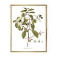 thumbnail image 1 of Designart 'Ancient American Flora IV' Traditional Framed Canvas Wall Art Print, 1 of 5