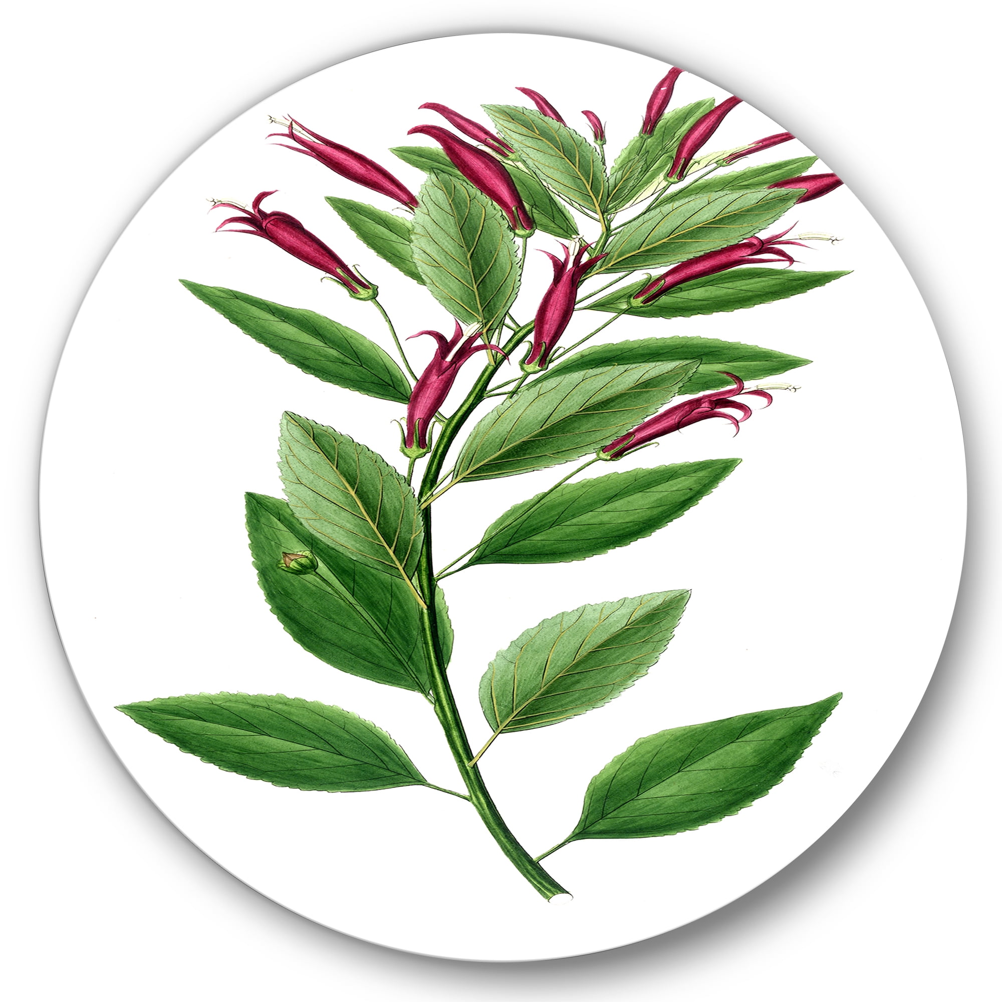 Designart 'Ancient American Flora V' Traditional Circle Metal Wall Art 23x23 - Disc of 23