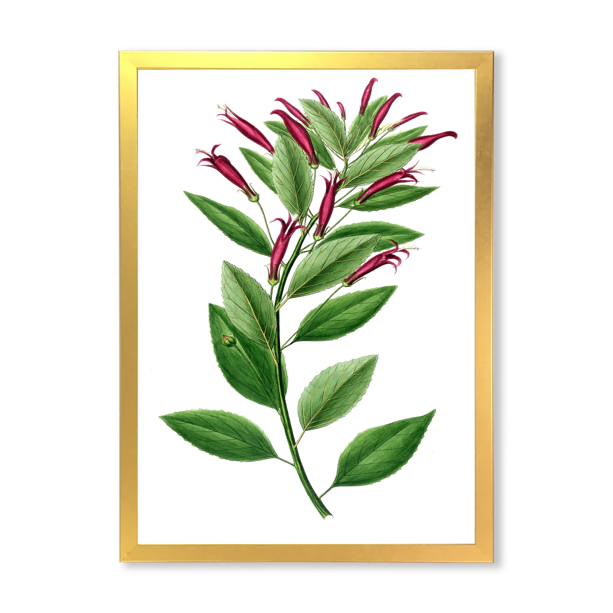 Designart 'Ancient American Flora V' Traditional Framed Art Print