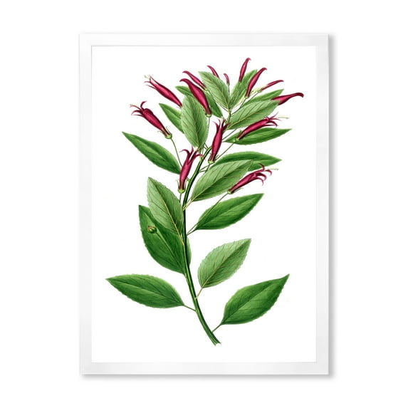 Designart 'Ancient American Flora V' Traditional Framed Art Print