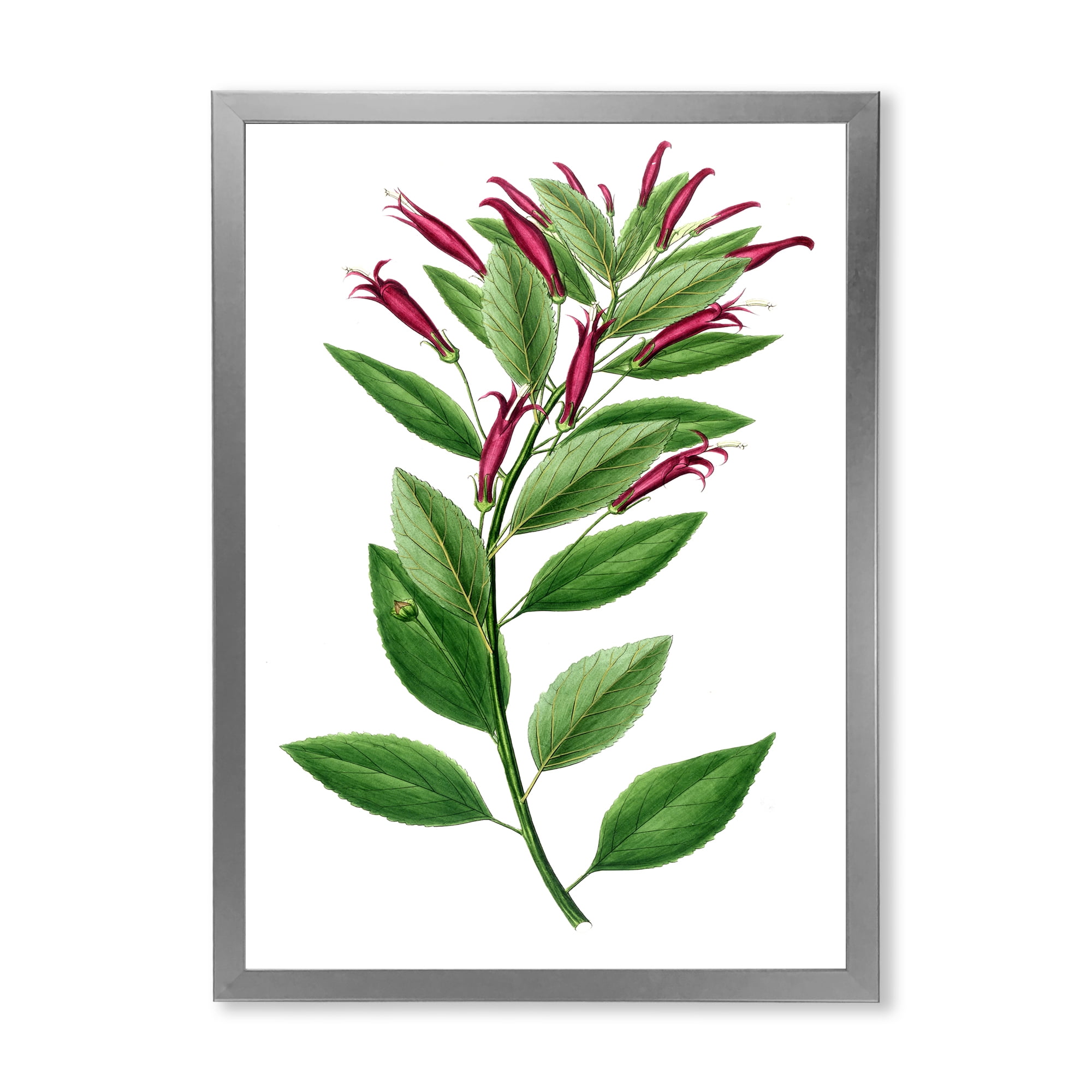 Designart 'Ancient American Flora V' Traditional Framed Art Print