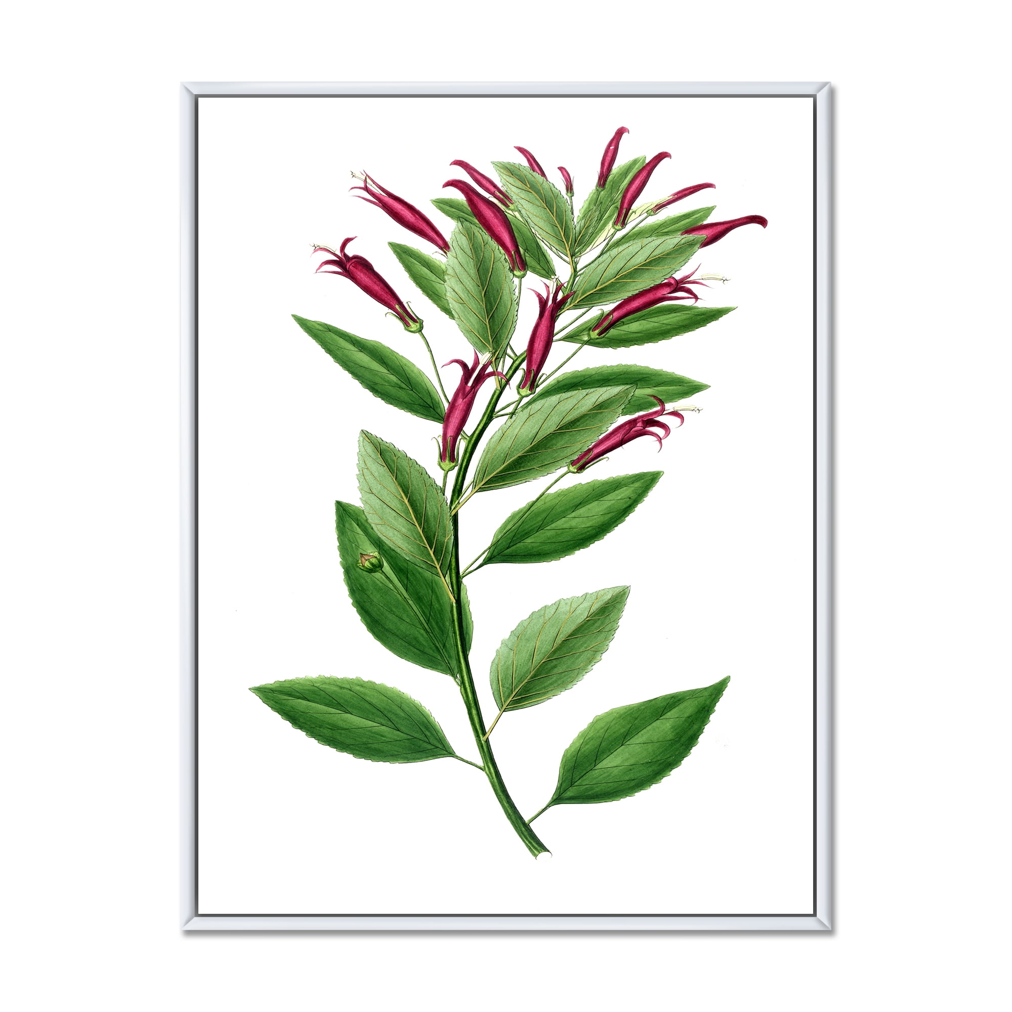 Designart 'Ancient American Flora V' Traditional Framed Canvas Wall Art Print