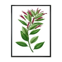Designart 'Ancient American Flora V' Traditional Framed Canvas Wall Art Print