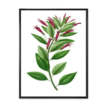 Designart 'Ancient American Flora V' Traditional Framed Canvas Wall Art Print