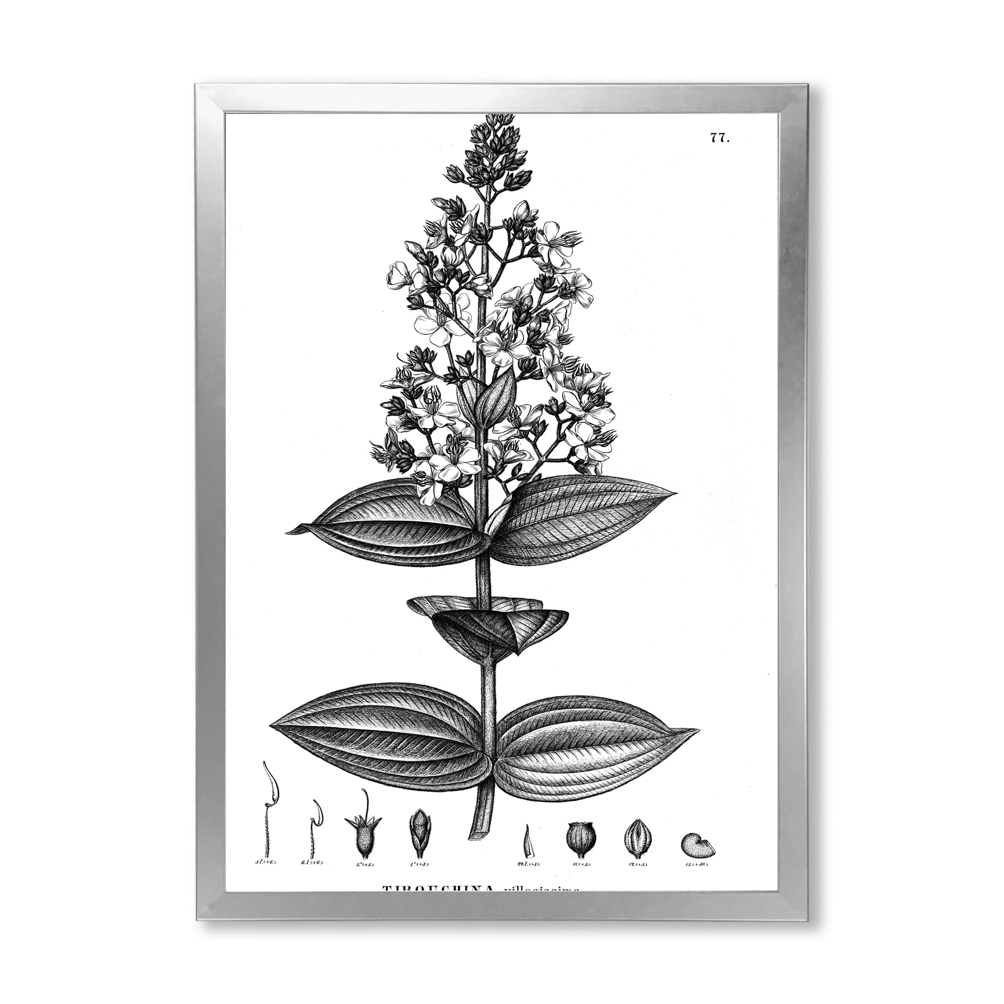 Designart 'Ancient American Flora VI' Traditional Framed Art Print