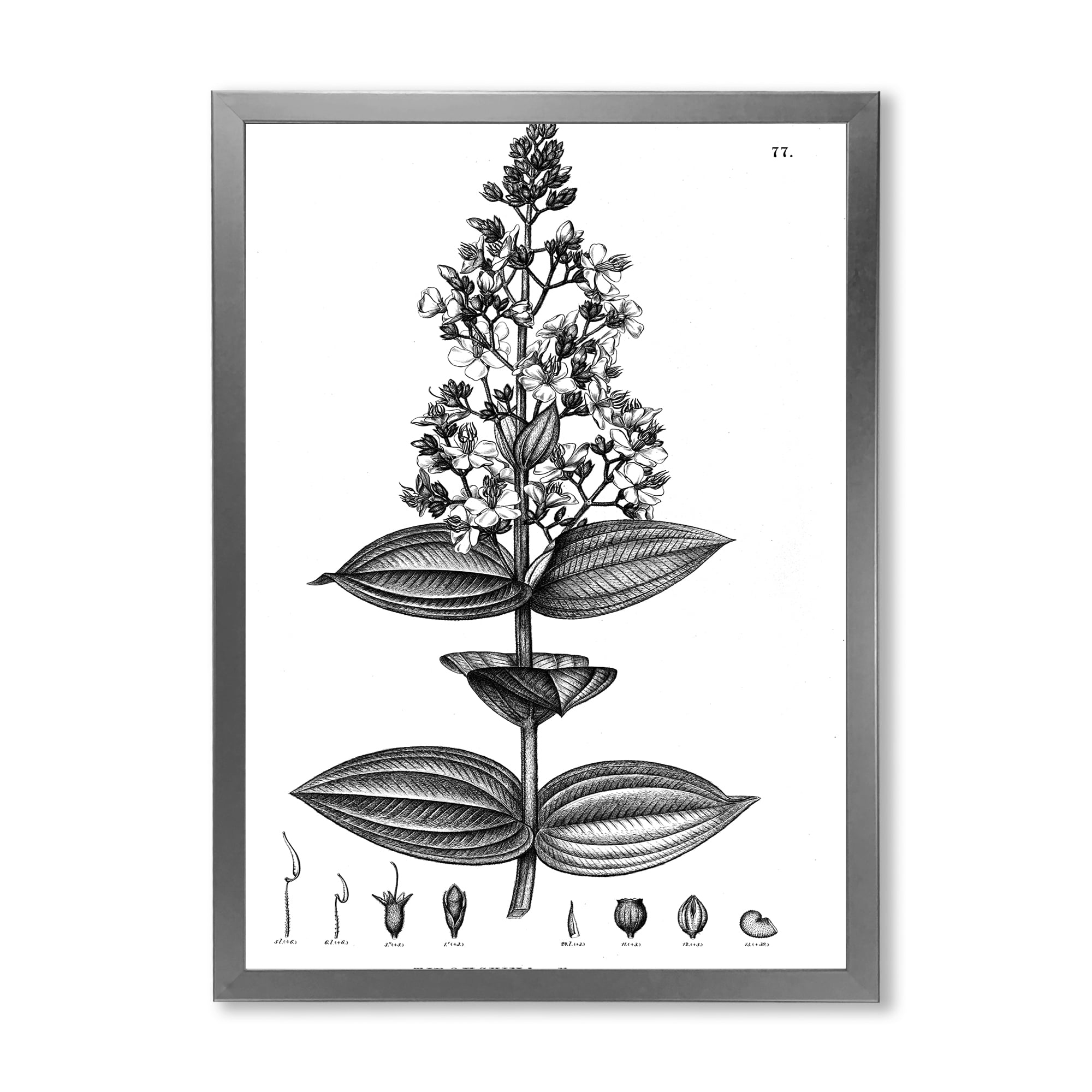Designart 'Ancient American Flora VI' Traditional Framed Art Print