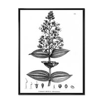 Designart 'Ancient American Flora VI' Traditional Framed Canvas Wall Art Print