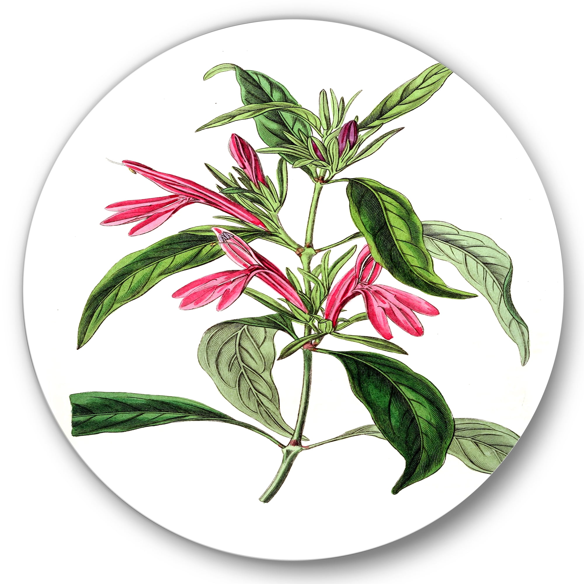 Designart 'Ancient American Flora VII' Traditional Circle Metal Wall Art 11x11 - Disc of 11