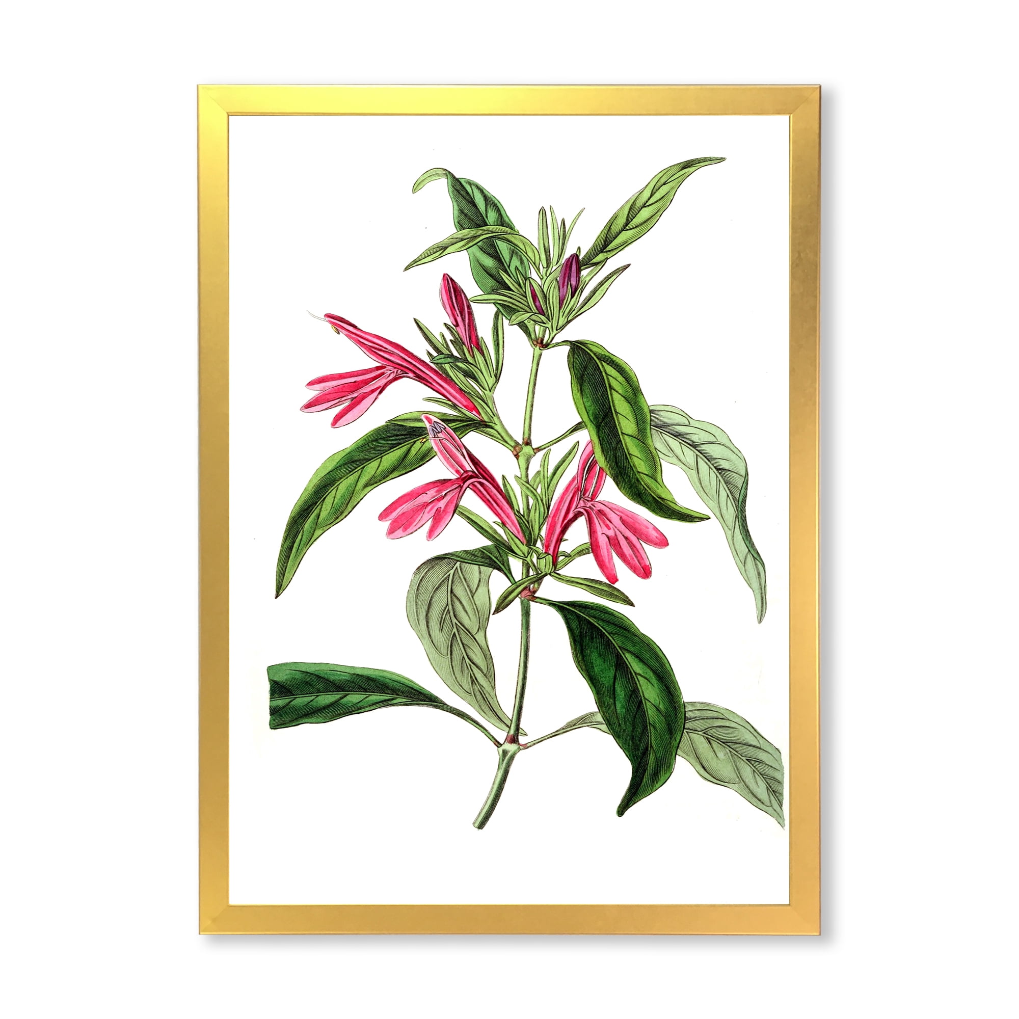 Designart 'Ancient American Flora VII' Traditional Framed Art Print