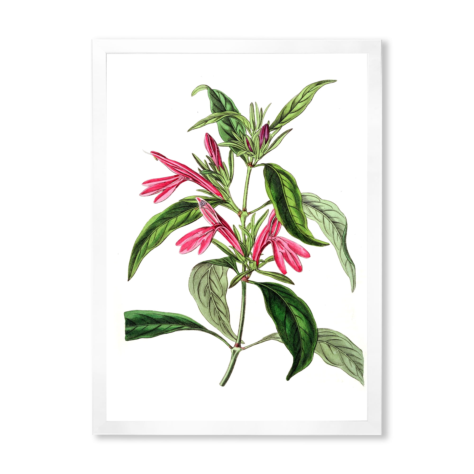 Designart 'Ancient American Flora VII' Traditional Framed Art Print