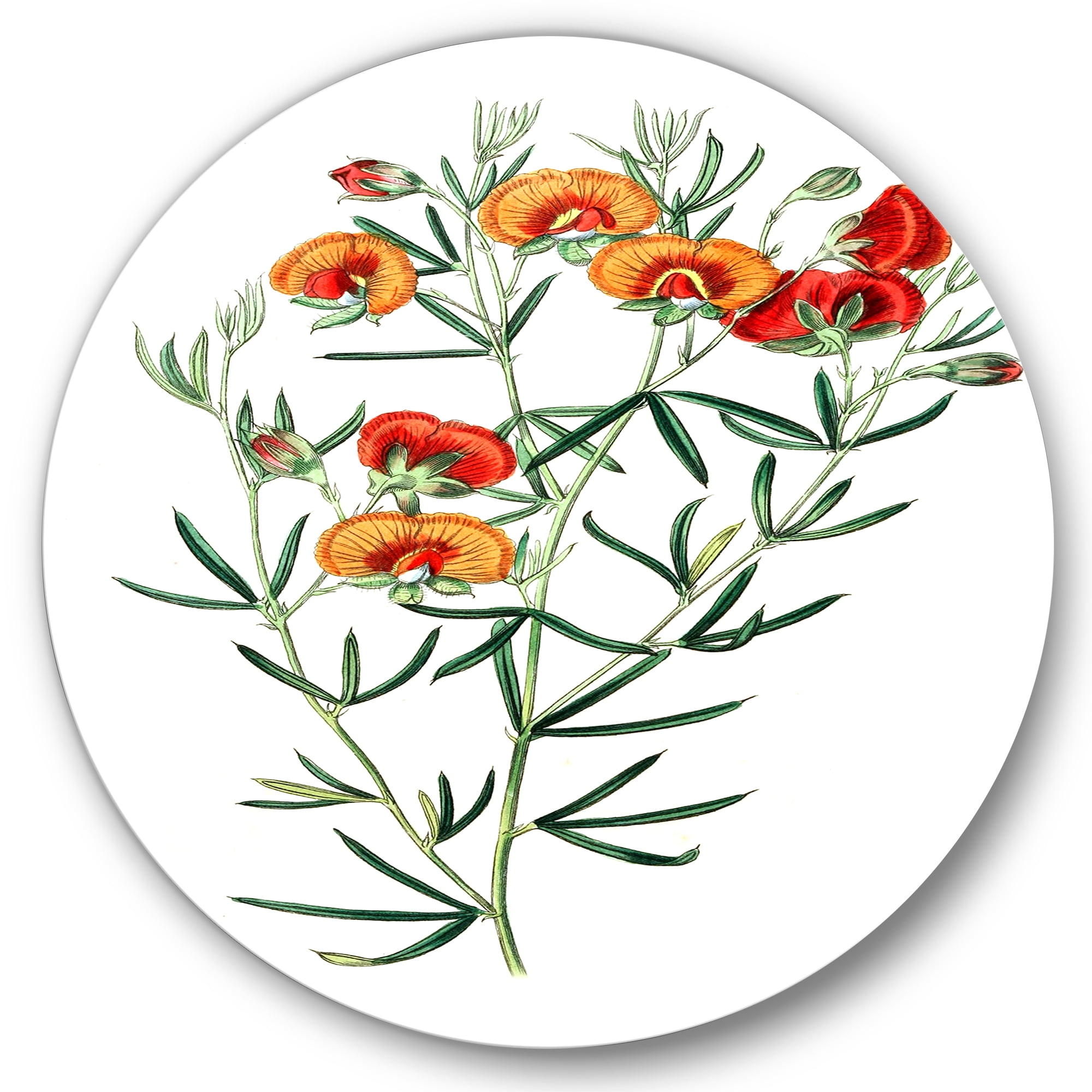 Designart 'Ancient American Flora VIII' Traditional Circle Metal Wall Art 11x11 - Disc of 11