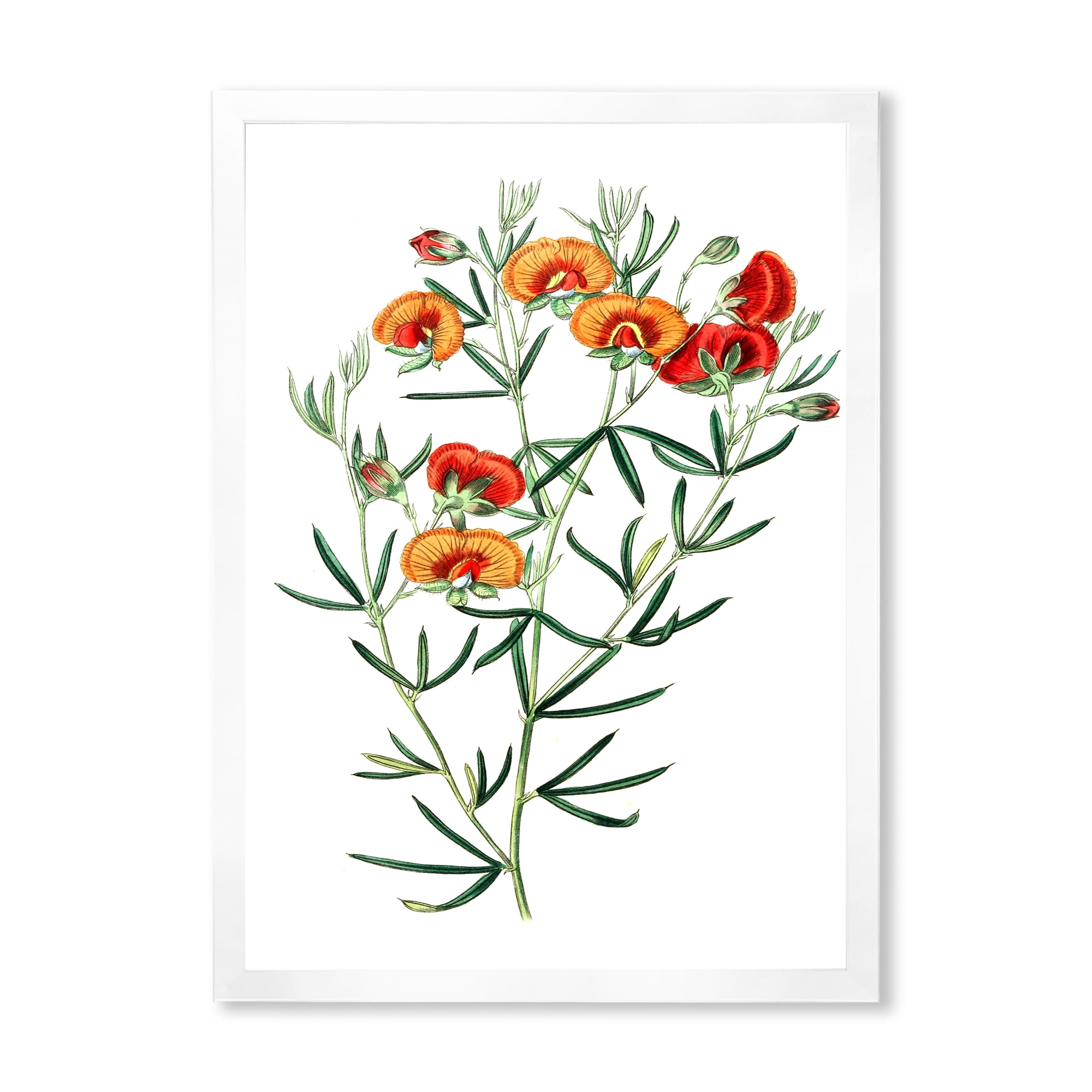 Designart 'Ancient American Flora VIII' Traditional Framed Art Print