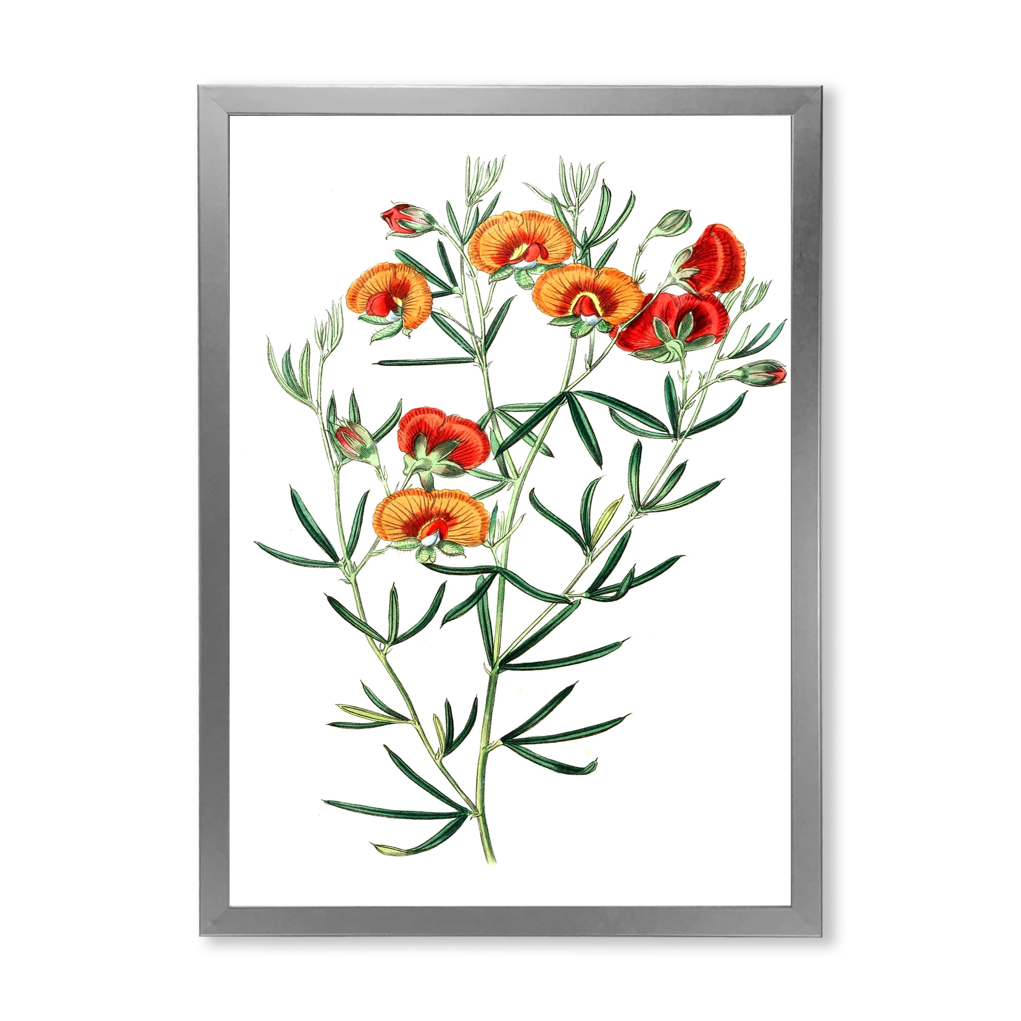 Designart 'Ancient American Flora VIII' Traditional Framed Art Print