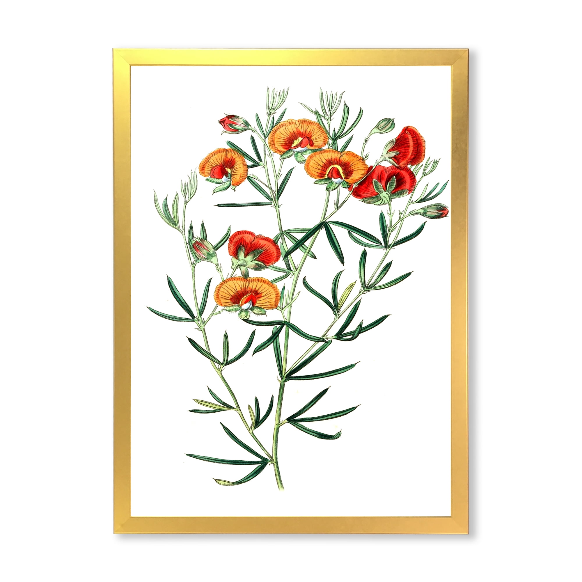 Designart 'Ancient American Flora VIII' Traditional Framed Art Print