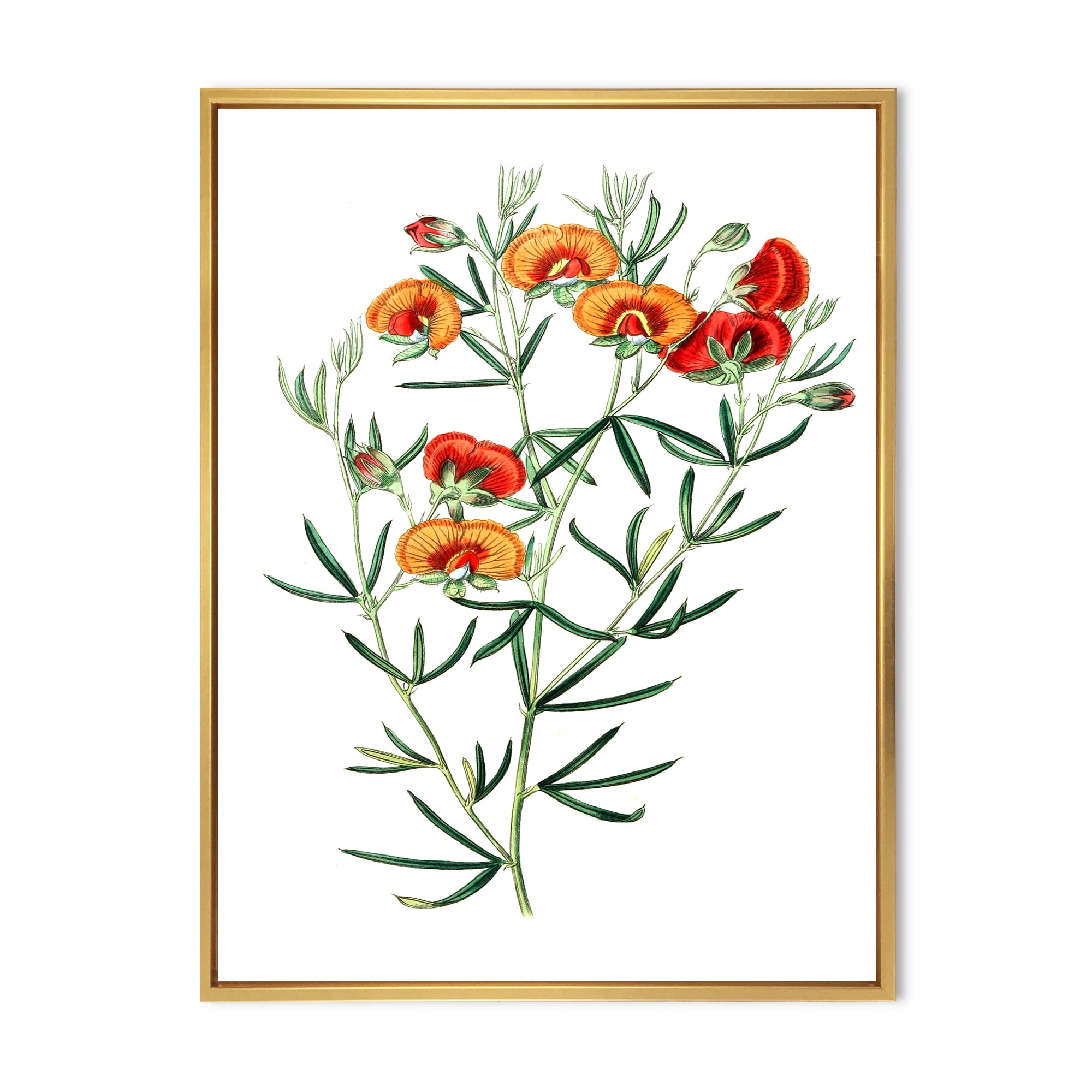 Designart 'Ancient American Flora VIII' Traditional Framed Canvas Wall Art Print