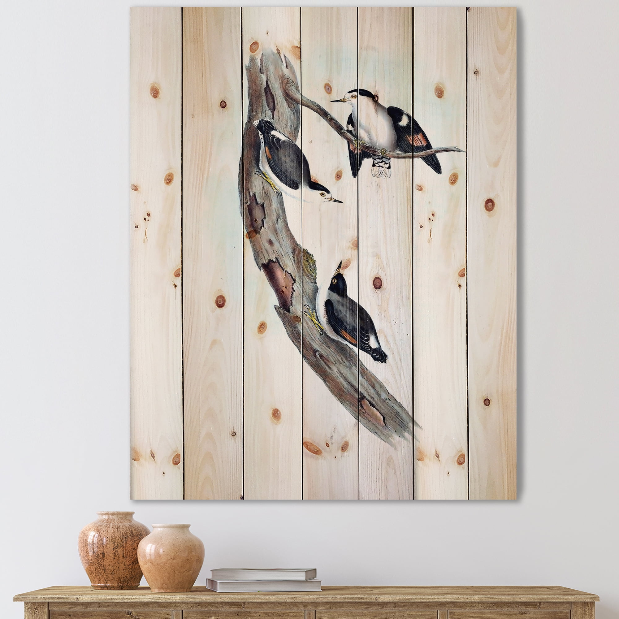 Designart 'Ancient Australian Bird Illustrations I' Traditional Print on Natural Pine Wood