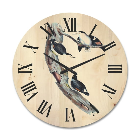 Designart 'Ancient Australian Bird Illustrations I' Traditional Wood Wall Clock