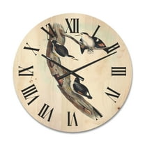 Designart 'Ancient Australian Bird Illustrations I' Traditional Wood Wall Clock