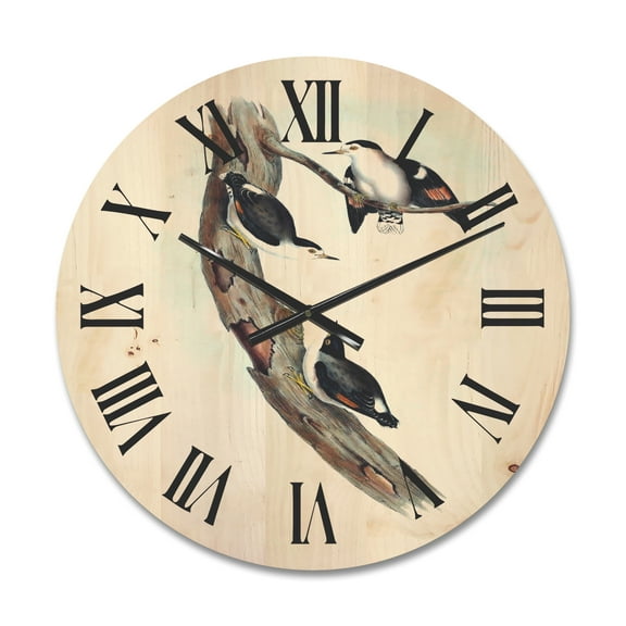 Designart 'Ancient Australian Bird Illustrations I' Traditional Wood Wall Clock