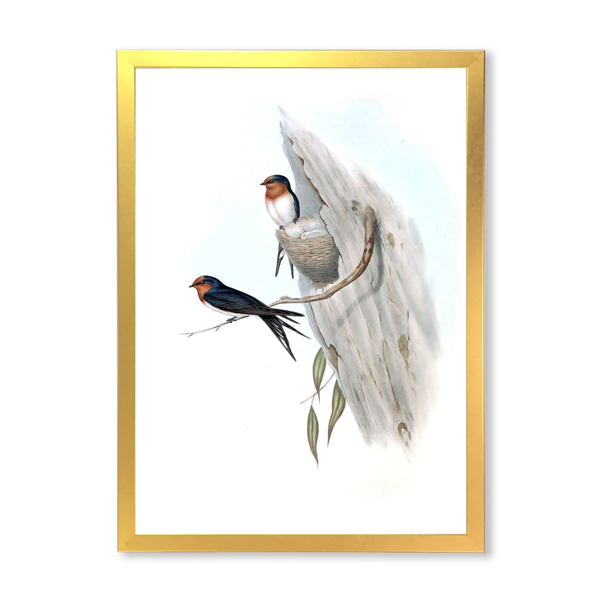 Designart 'Ancient Australian Bird Illustrations II' Traditional Framed Art Print