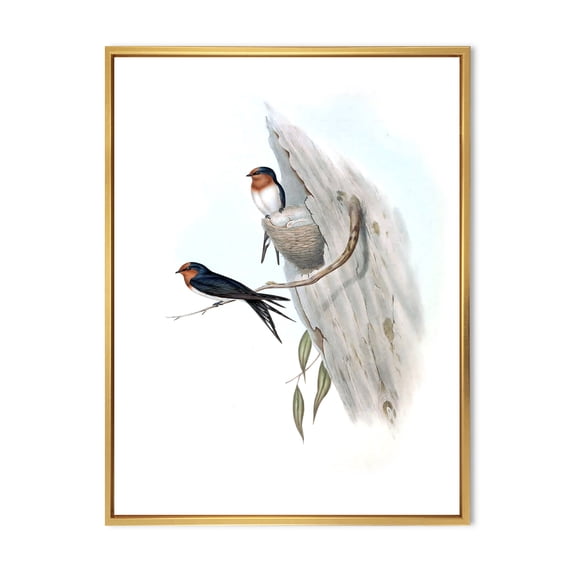 Designart 'Ancient Australian Bird Illustrations II' Traditional Framed Canvas Wall Art Print