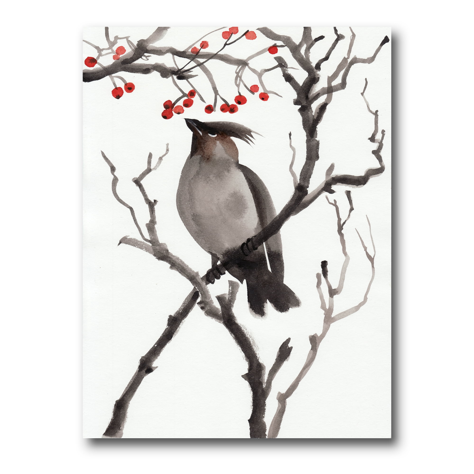 Designart ' Ancient Australian Bird Illustrations III ' Traditional Canvas Wall Art Print