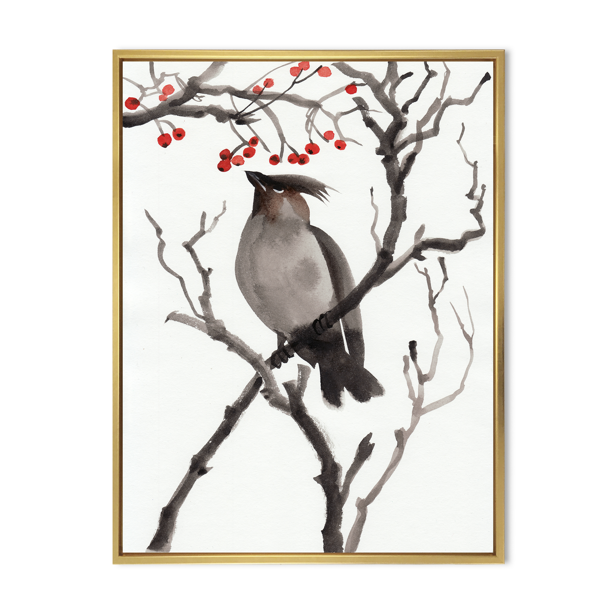 Designart 'Ancient Australian Bird Illustrations III' Traditional Framed Canvas Wall Art Print