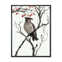 Designart 'Ancient Australian Bird Illustrations III' Traditional Framed Canvas Wall Art Print