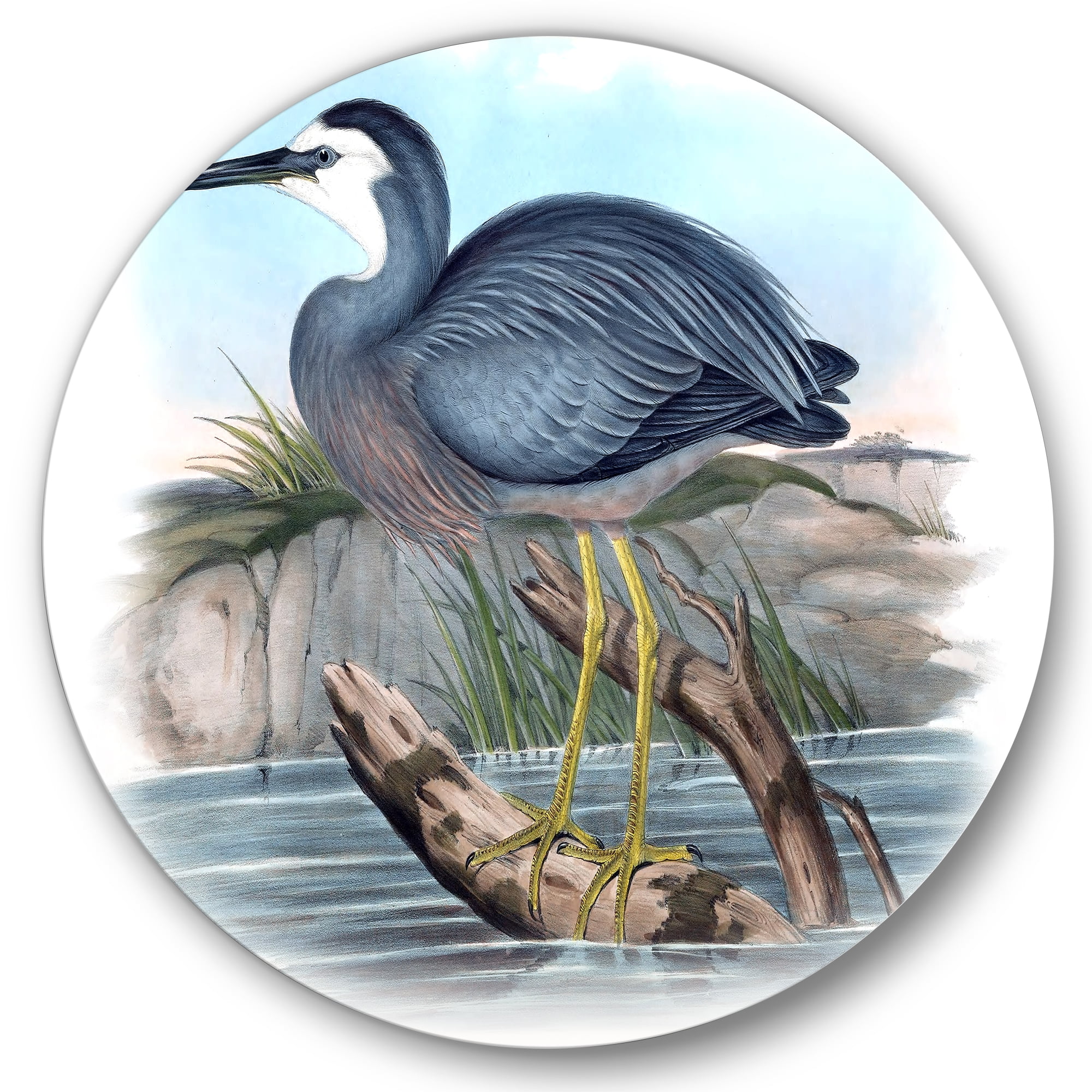 Designart 'Ancient Australian Birds II' Traditional Circle Metal Wall Art 23x23 - Disc of 23