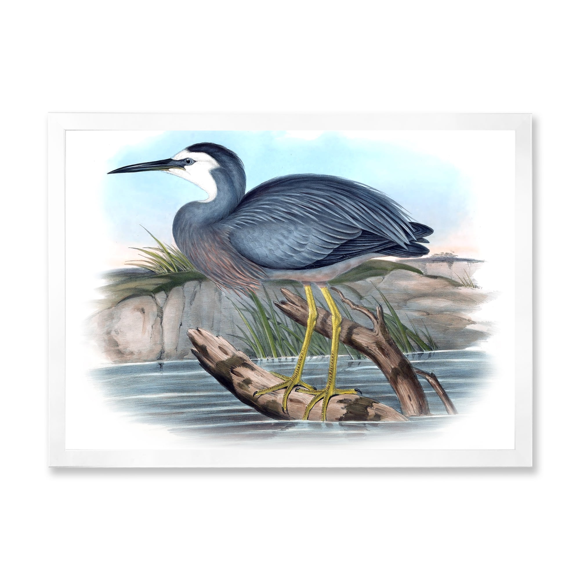 Designart 'Ancient Australian Birds II' Traditional Framed Art Print