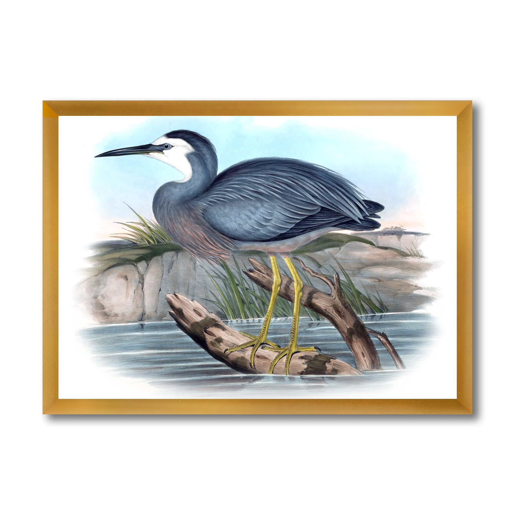 Designart 'Ancient Australian Birds II' Traditional Framed Art Print