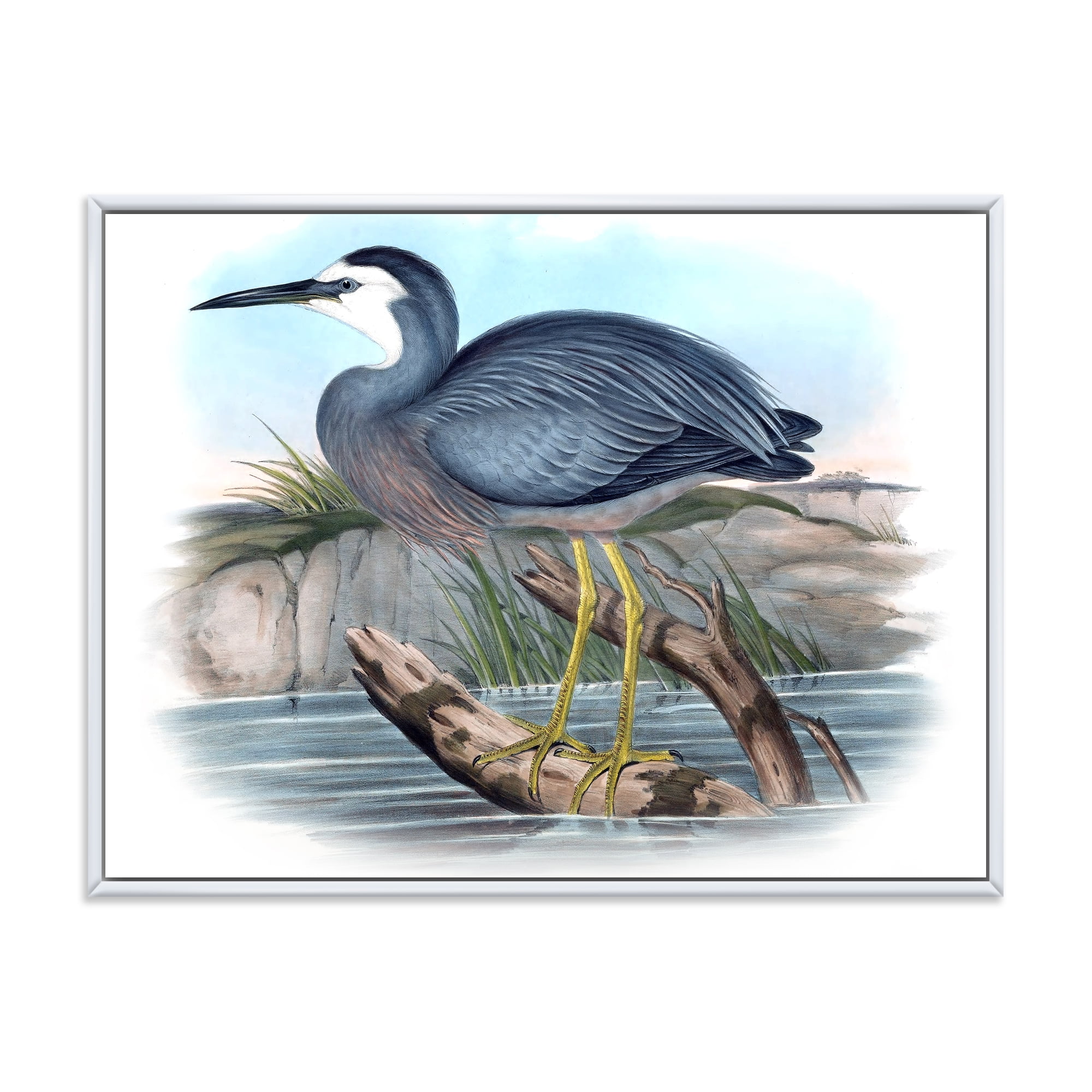 Designart 'Ancient Australian Birds II' Traditional Framed Canvas Wall Art Print