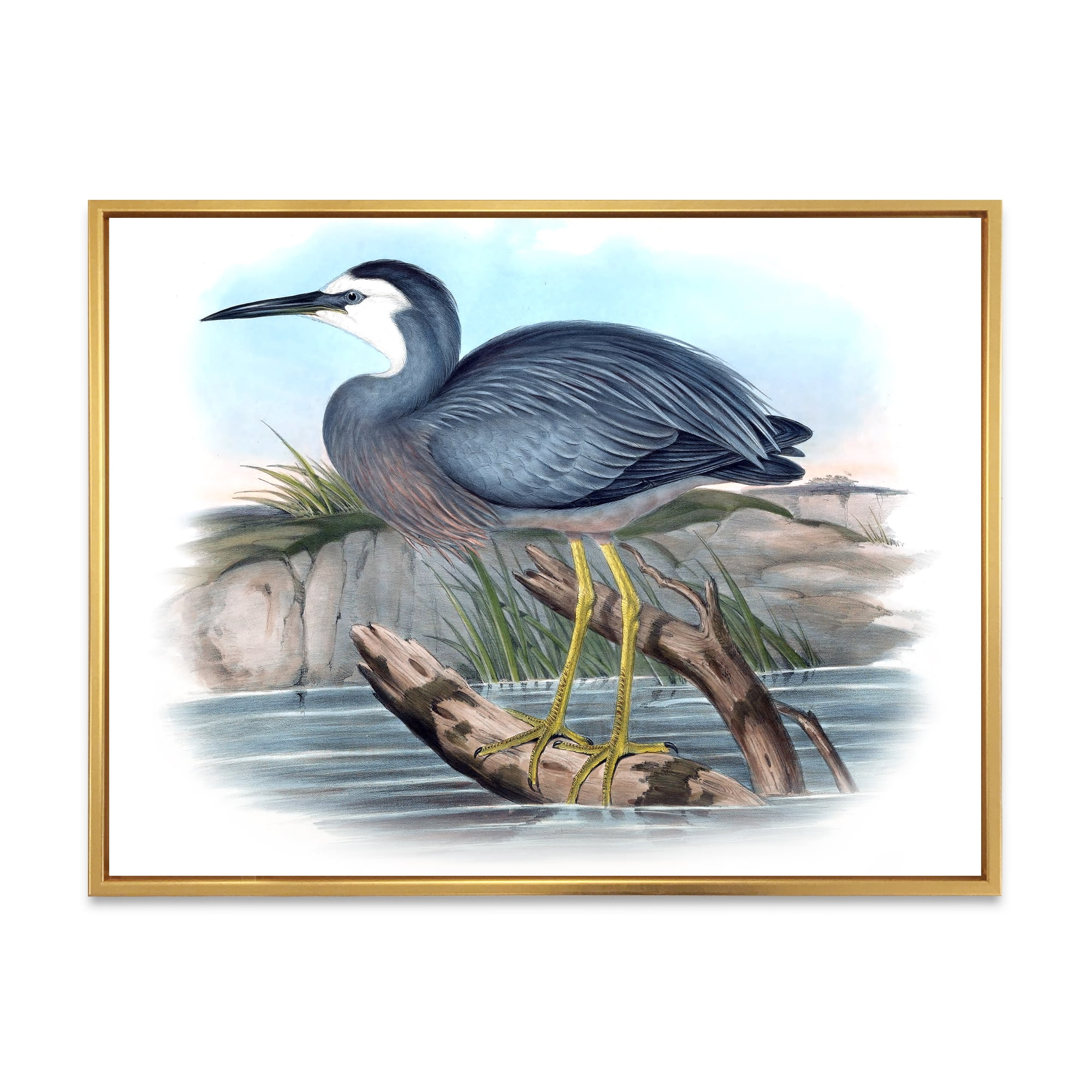 Designart 'Ancient Australian Birds II' Traditional Framed Canvas Wall Art Print