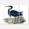 thumbnail image 1 of Designart ' Ancient Australian Birds III ' Traditional Canvas Wall Art Print, 1 of 3
