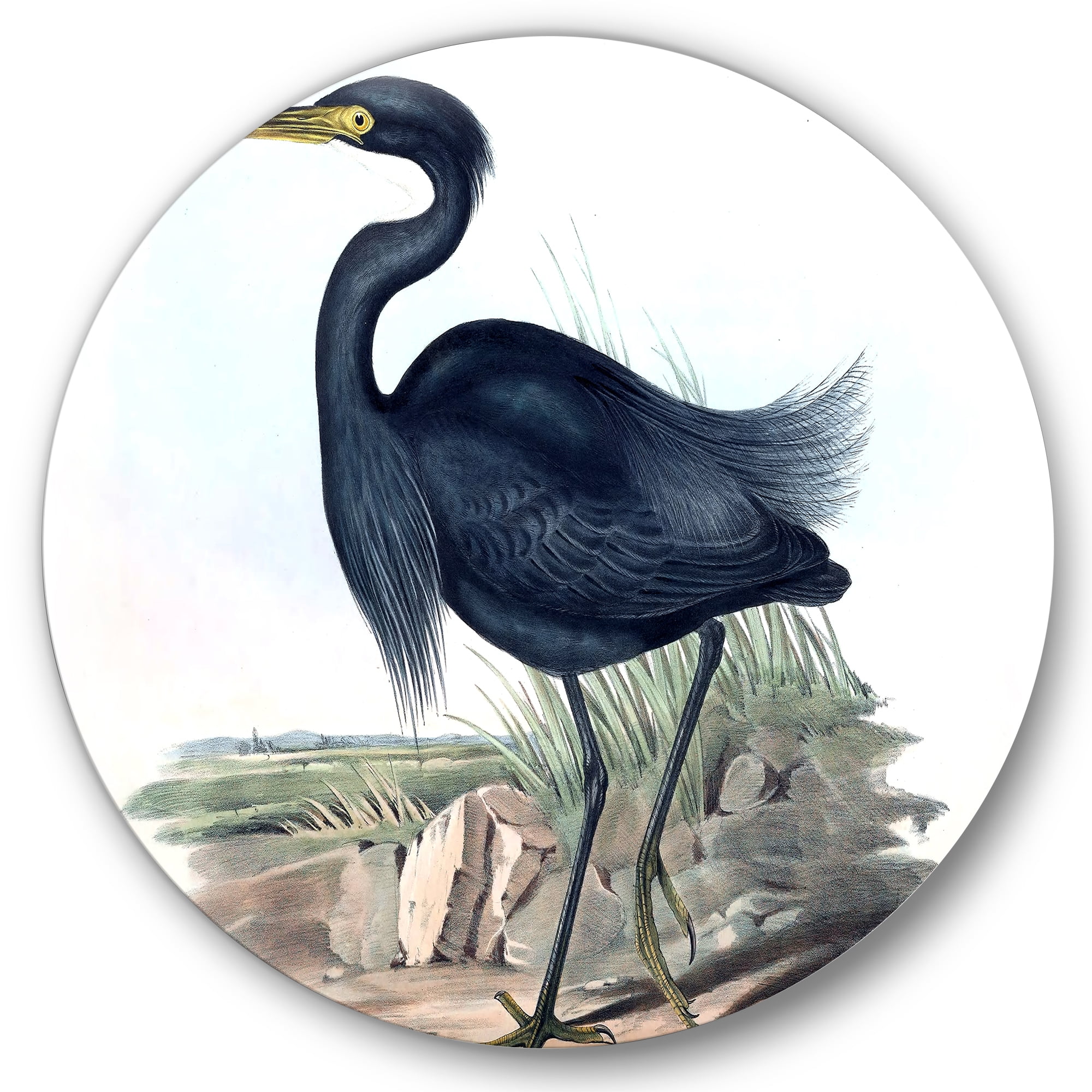Designart 'Ancient Australian Birds III' Traditional Circle Metal Wall Art 29x29 - Disc of 29